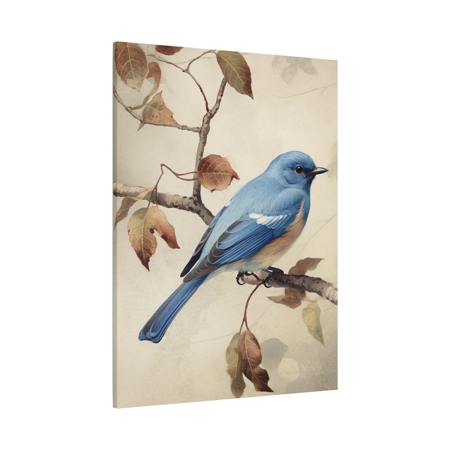 BLUEBIRD | Print or Canvas | AN09