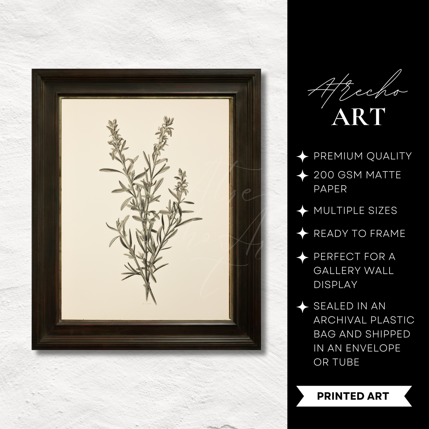 ROSEMARY | Printed Artwork | TR10