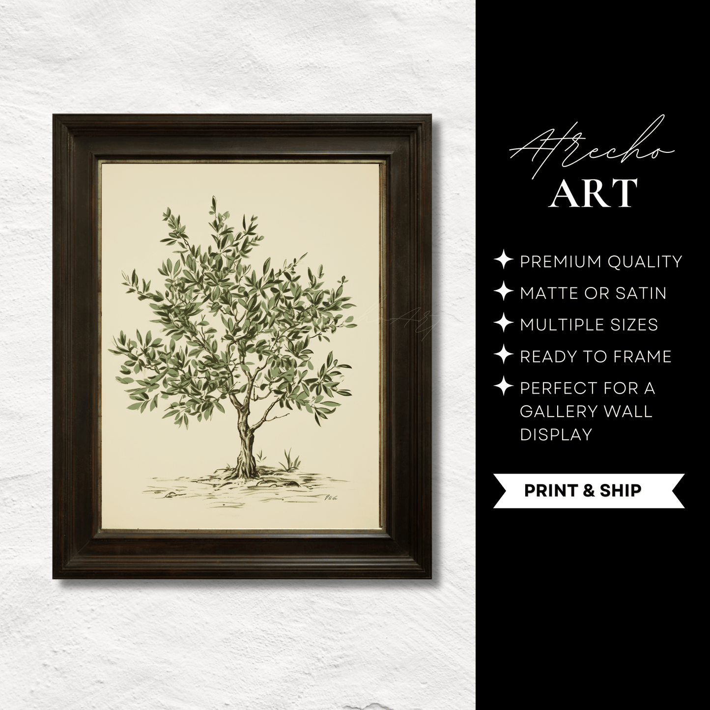 OLIVE TREE | Printed Artwork | TR14