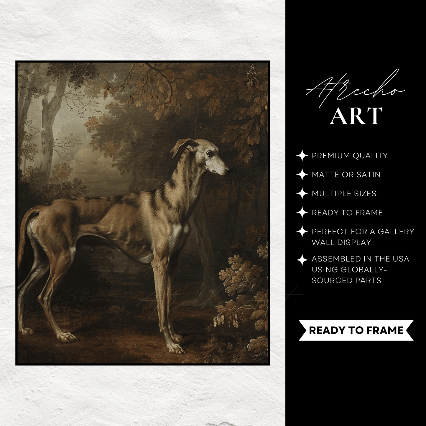 GALGO ESPANOL | Printed Artwork | AN82