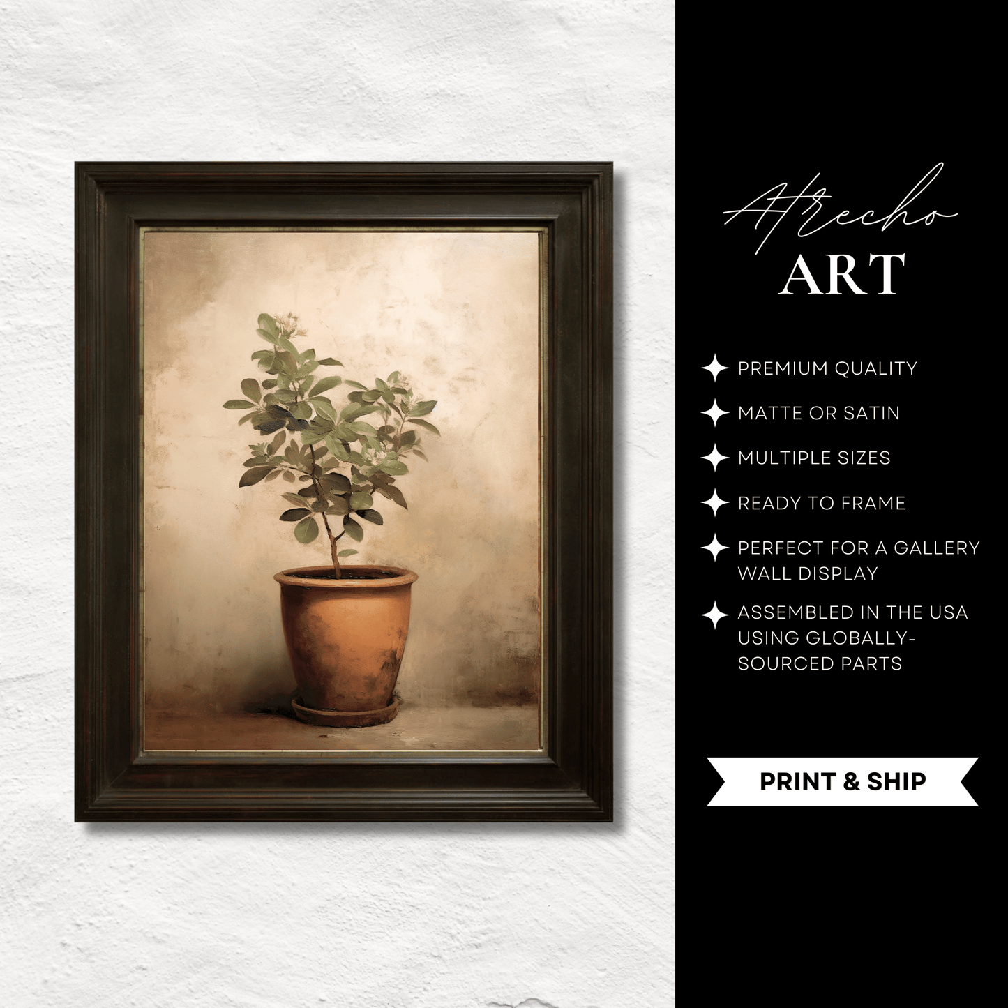 POTTED PLANT | Printed Artwork | TR18