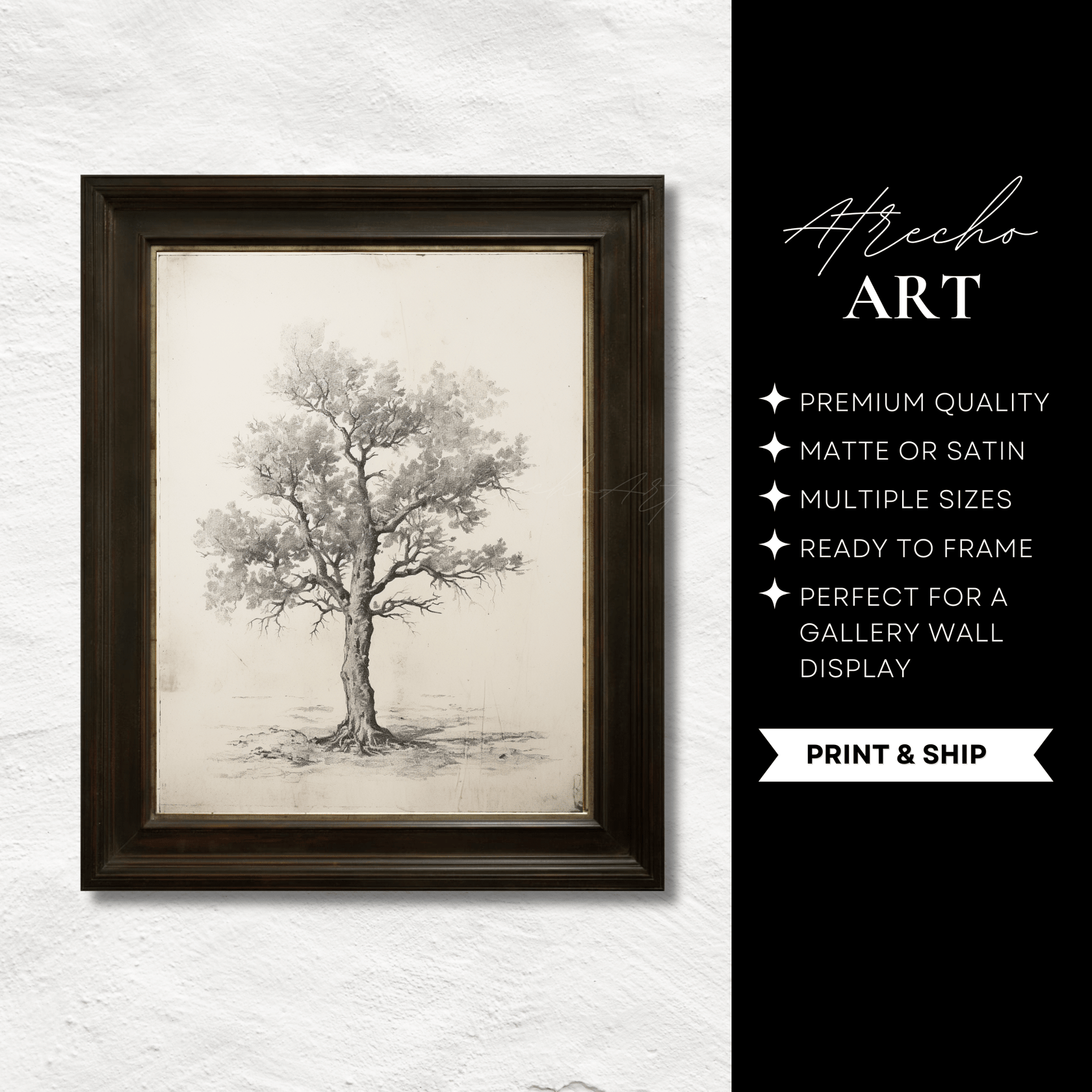 CASTANEA SATIVA TREE | Printed Artwork | TR07 – Atrecho Art