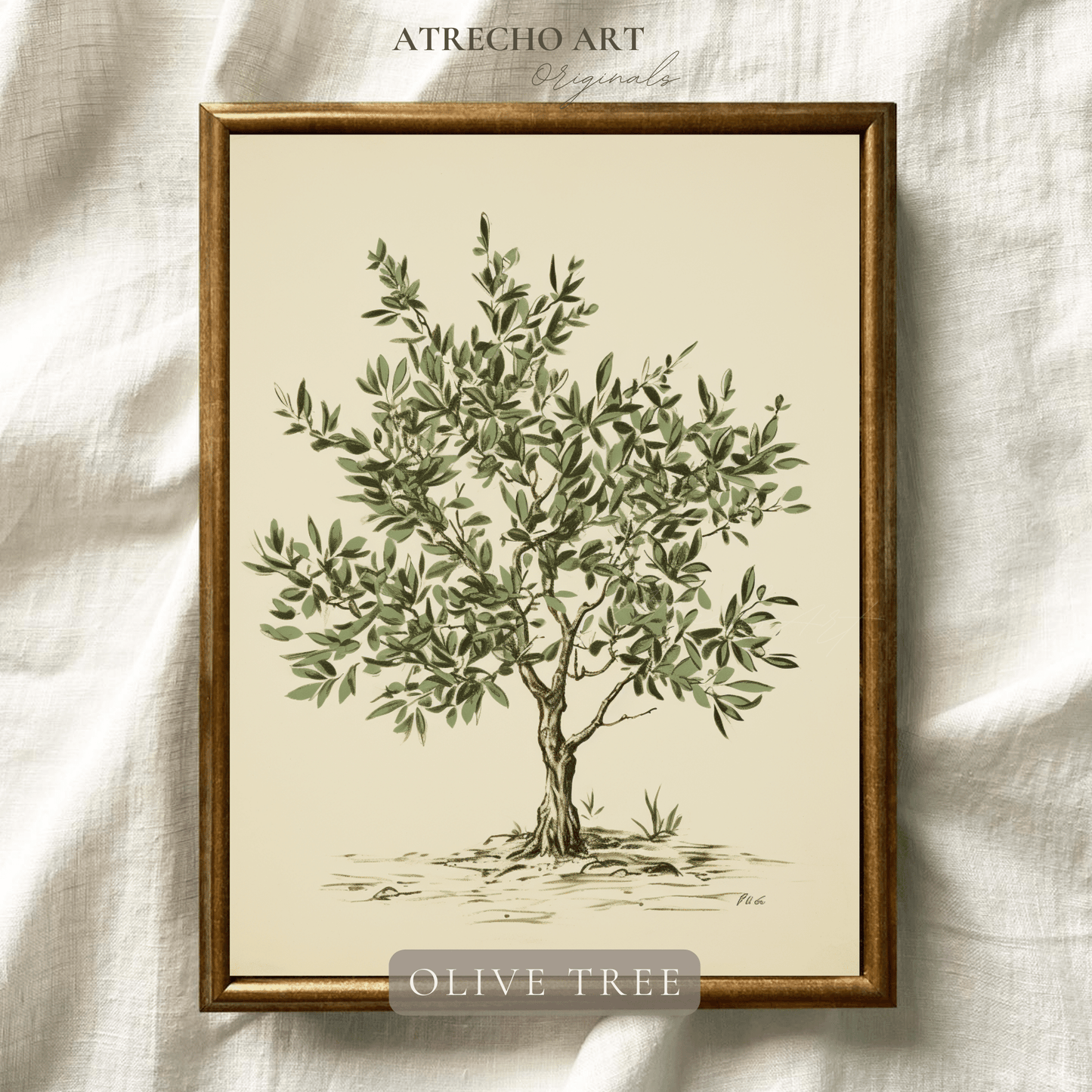 OLIVE TREE | Printed Artwork | TR14