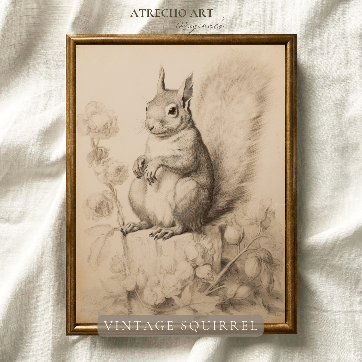 SQUIRREL | Printed Artwork | AN46