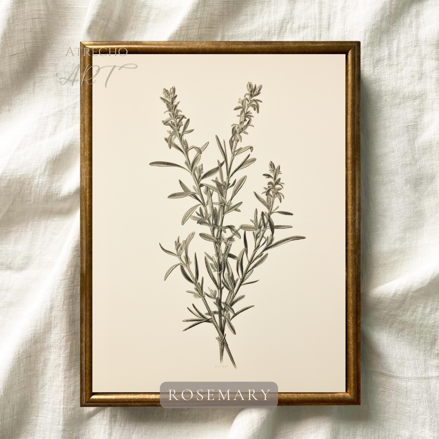 ROSEMARY | Printed Artwork | TR10