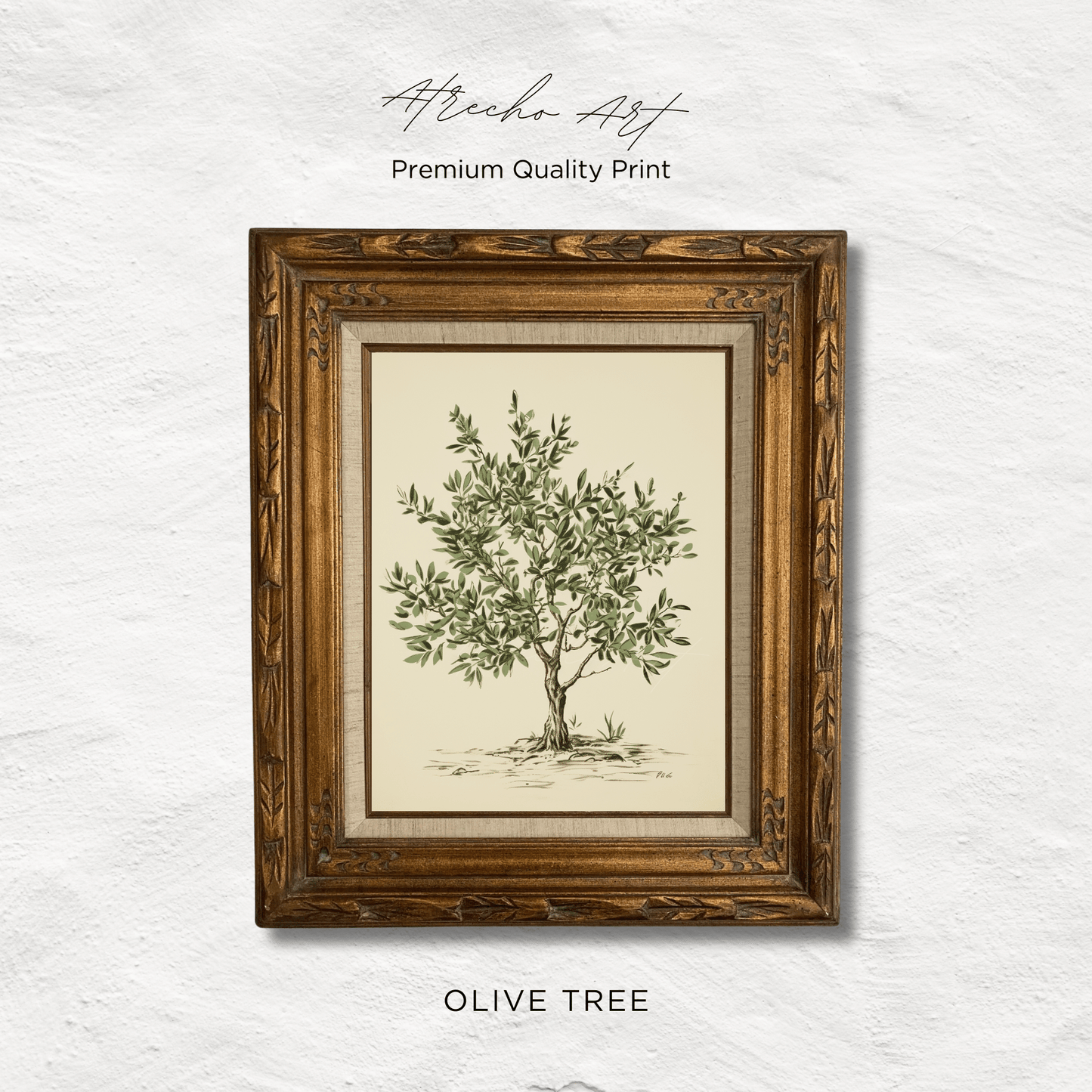 OLIVE TREE | Printed Artwork | TR14