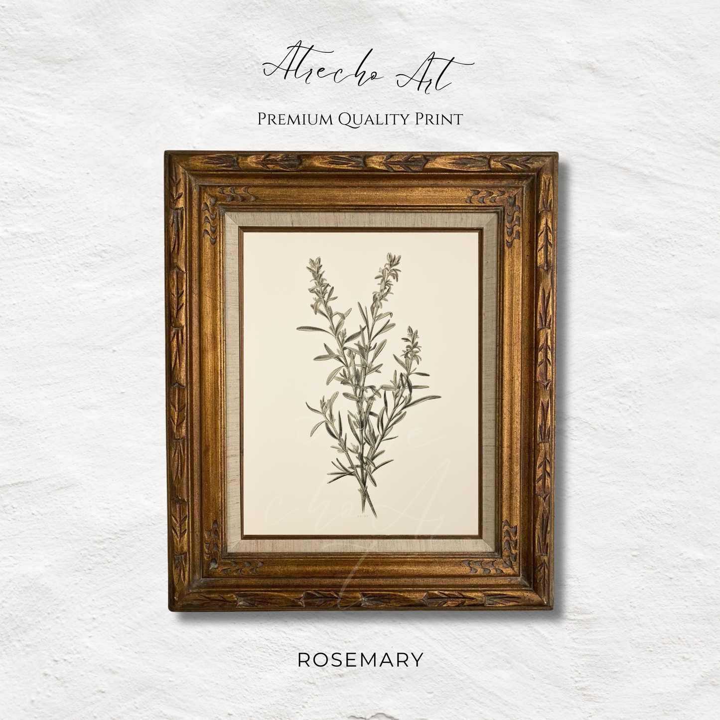 ROSEMARY | Printed Artwork | TR10