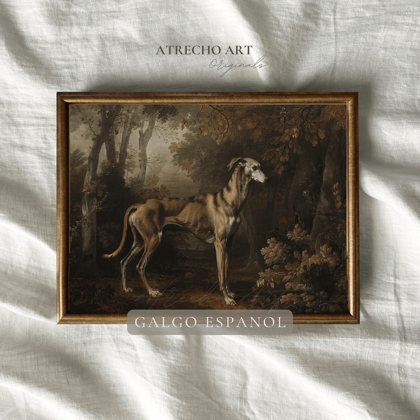 GALGO ESPANOL | Printed Artwork | AN82