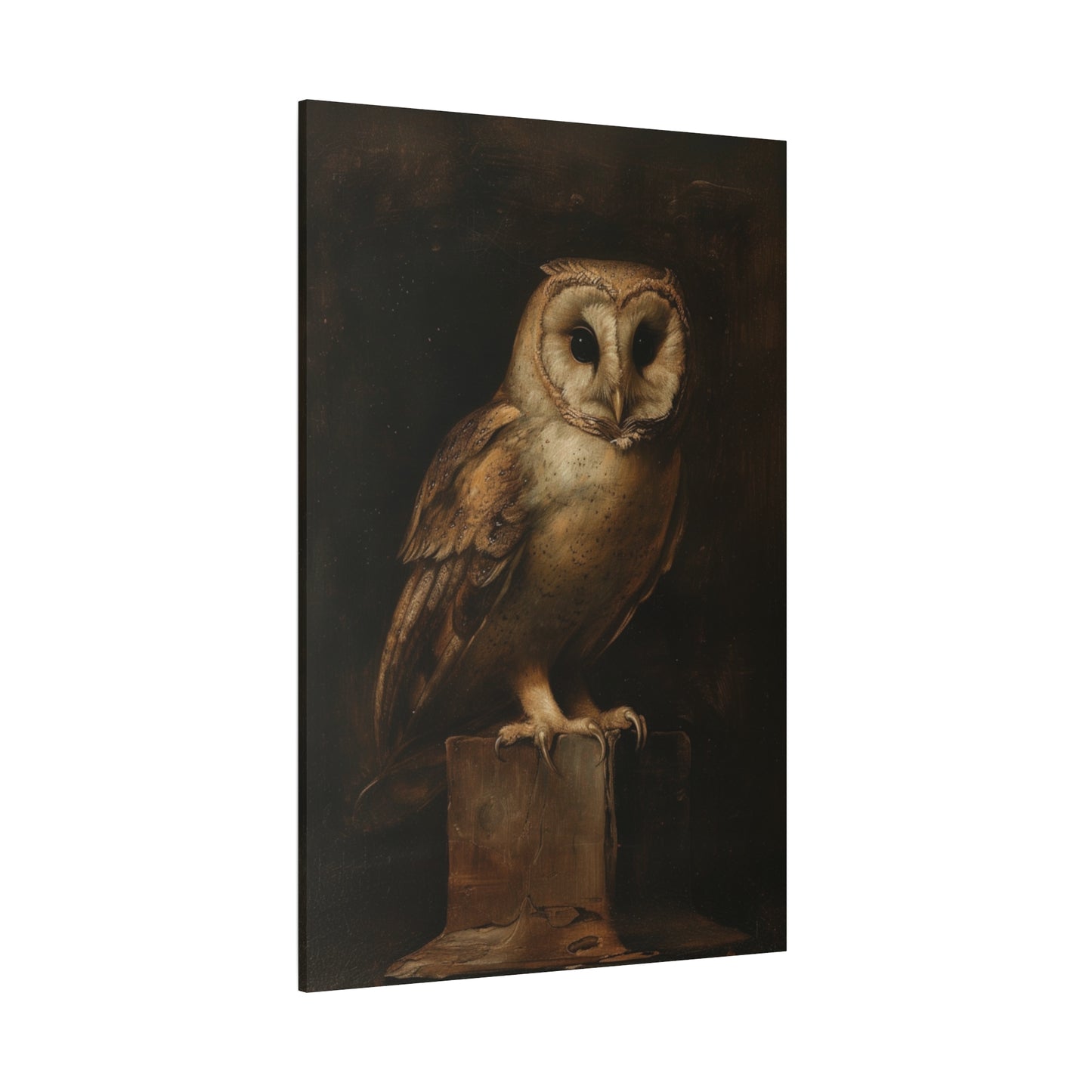 OWL | Print or Canvas | AN63