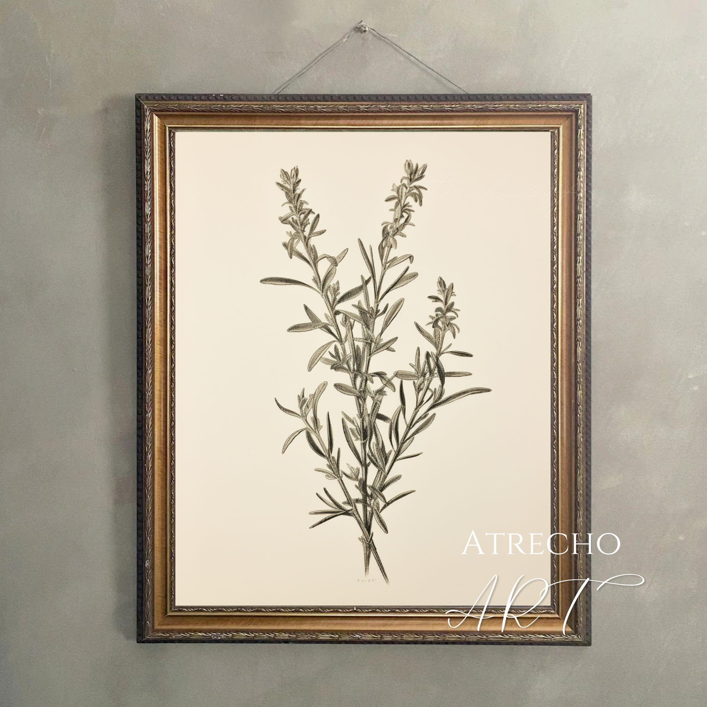 ROSEMARY | Printed Artwork | TR10