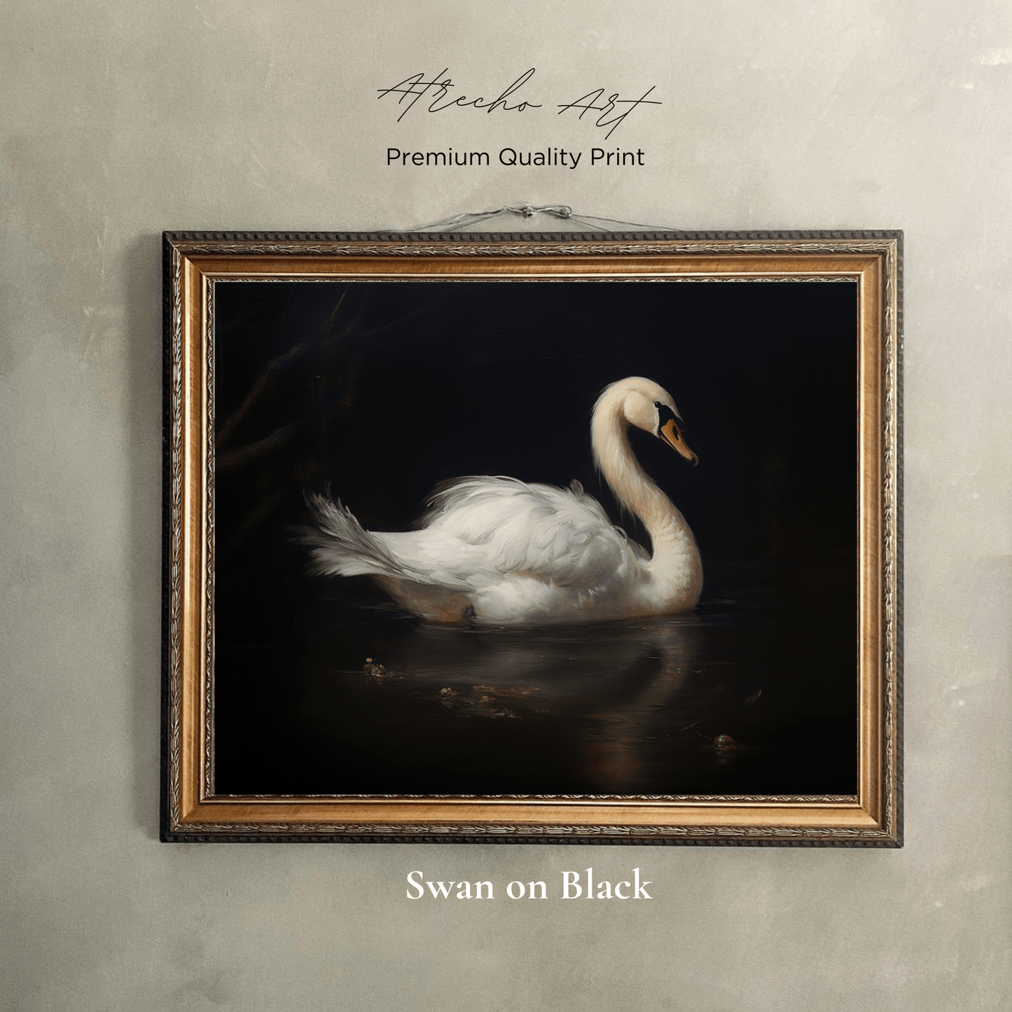 SWAN ON BLACK | AN08